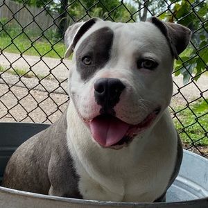 Meet your Posher, Katrina